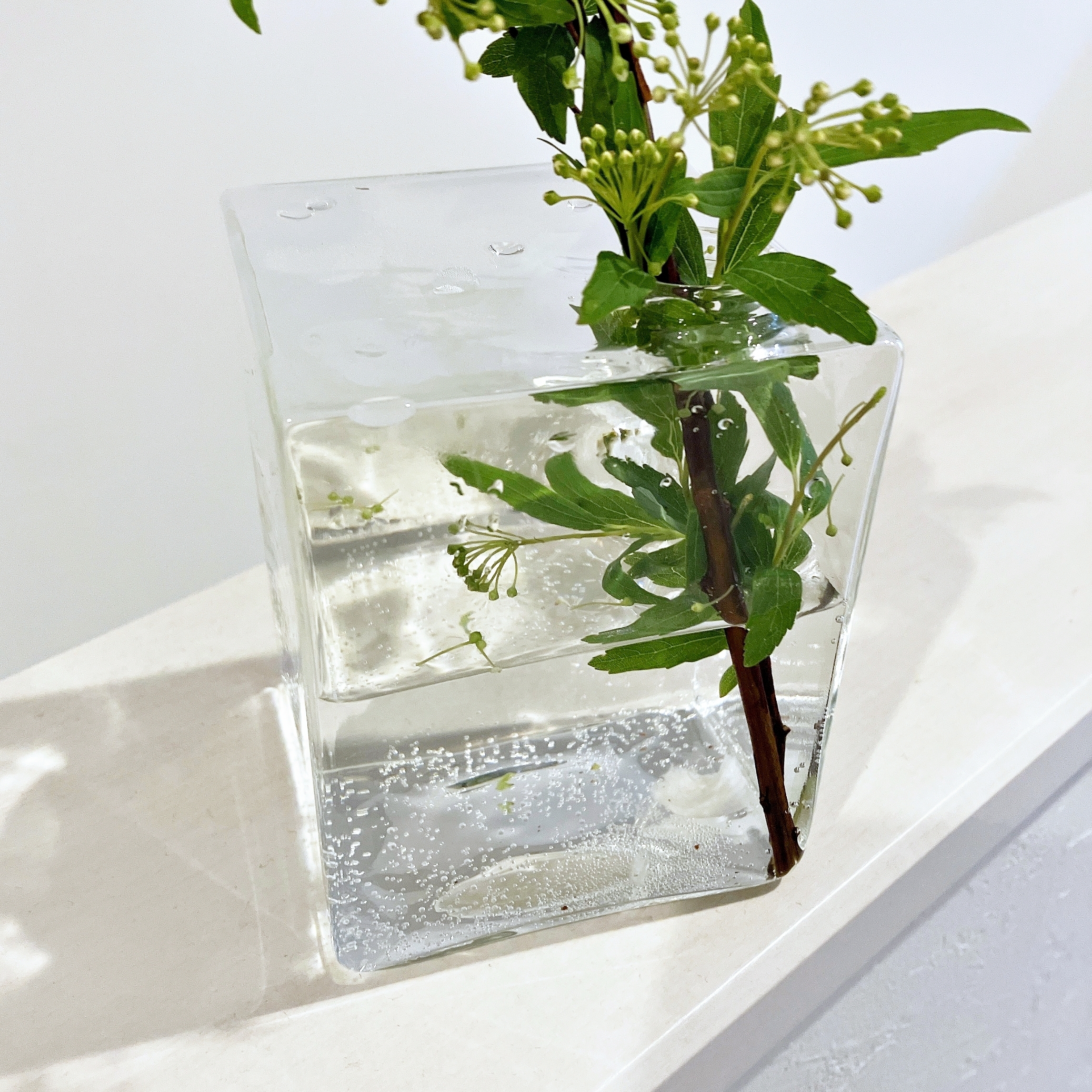 ZARA HOME(ザラホーム)のおすすめ花瓶「スクエア ガラス フローラルベース」