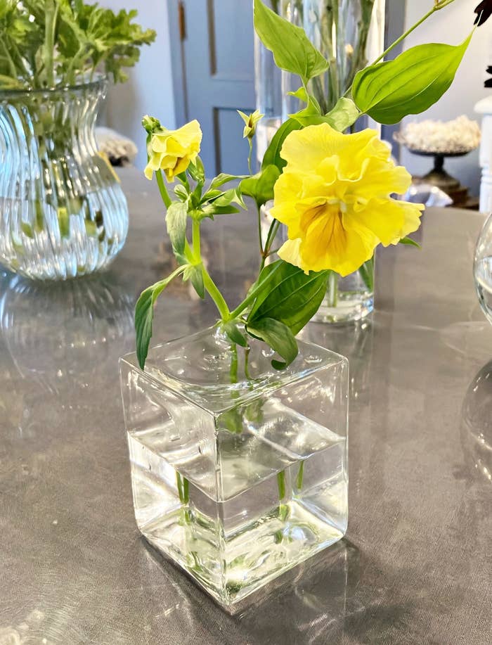 ZARA HOME(ザラホーム)のおすすめ花瓶「スクエア ガラス フローラルベース」