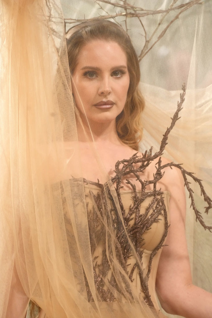 Woman in artistic twig and tulle outfit posing behind a sheer veil
