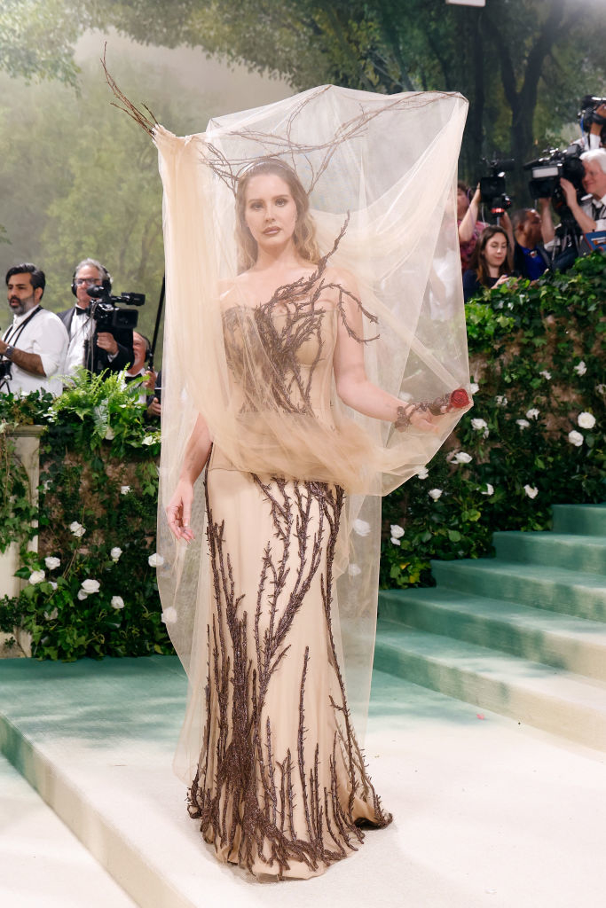 Angelina Jolie in a sheer dress with tree branch design at an event; photographers in the background