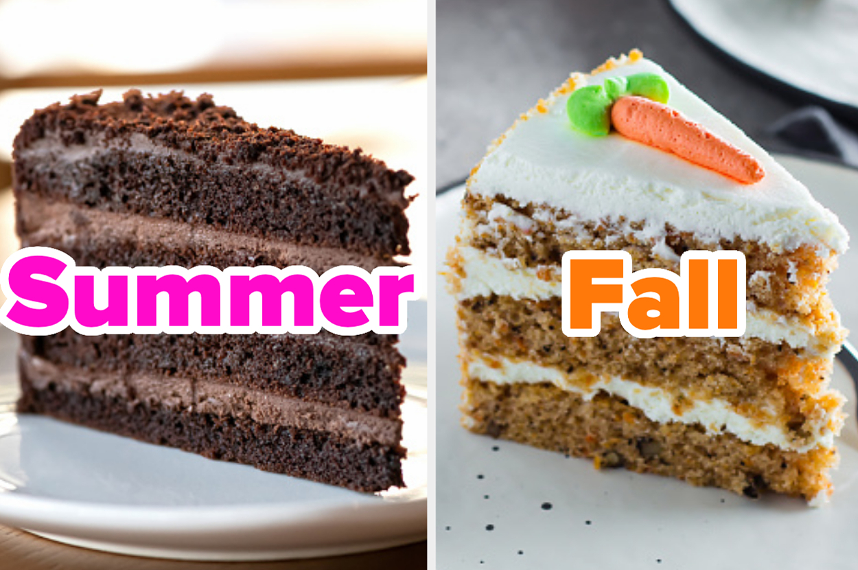 Two slices of cake side-by-side labeled "Summer" with chocolate cake and "Fall" with carrot cake