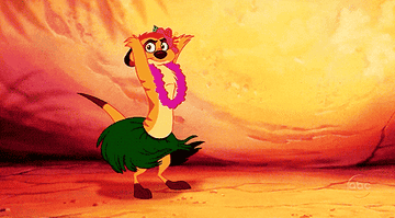 Animated character Timon from The Lion King is dancing in a hula skirt