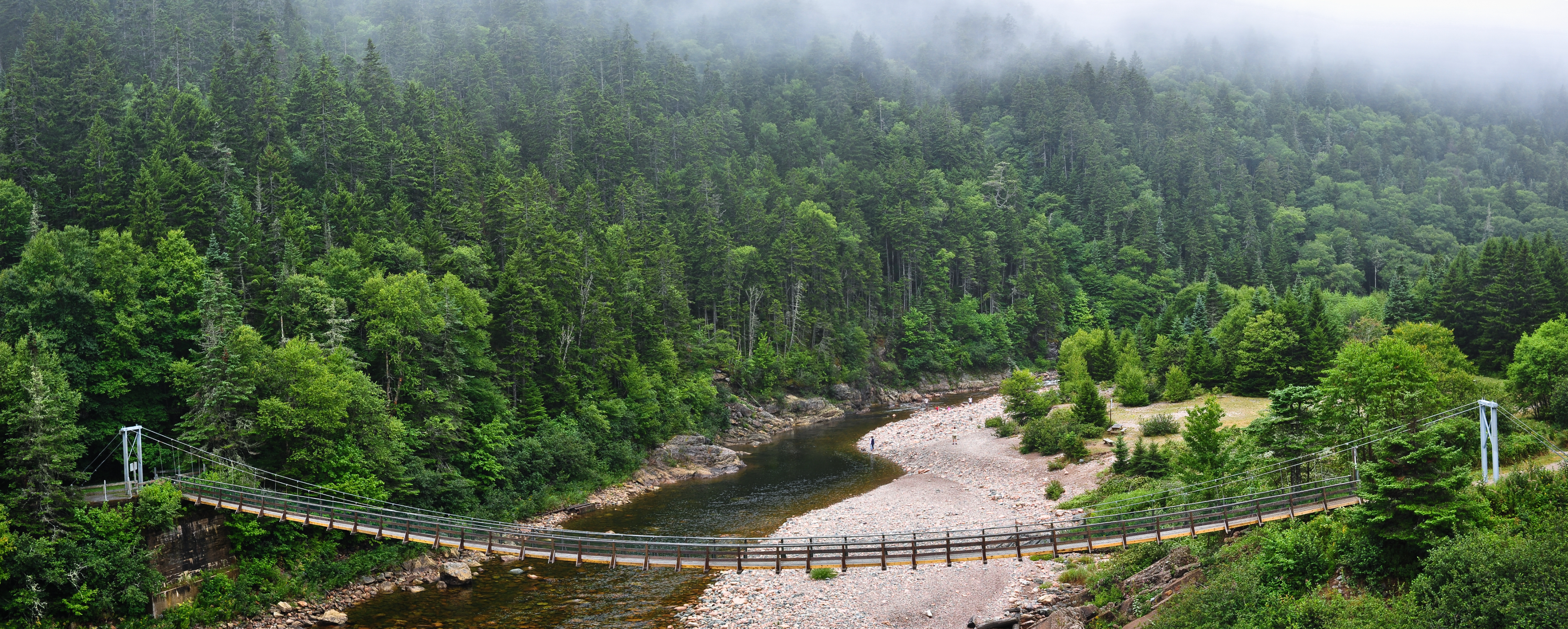 Suspension bridge over a river in a foggy forested landscape
