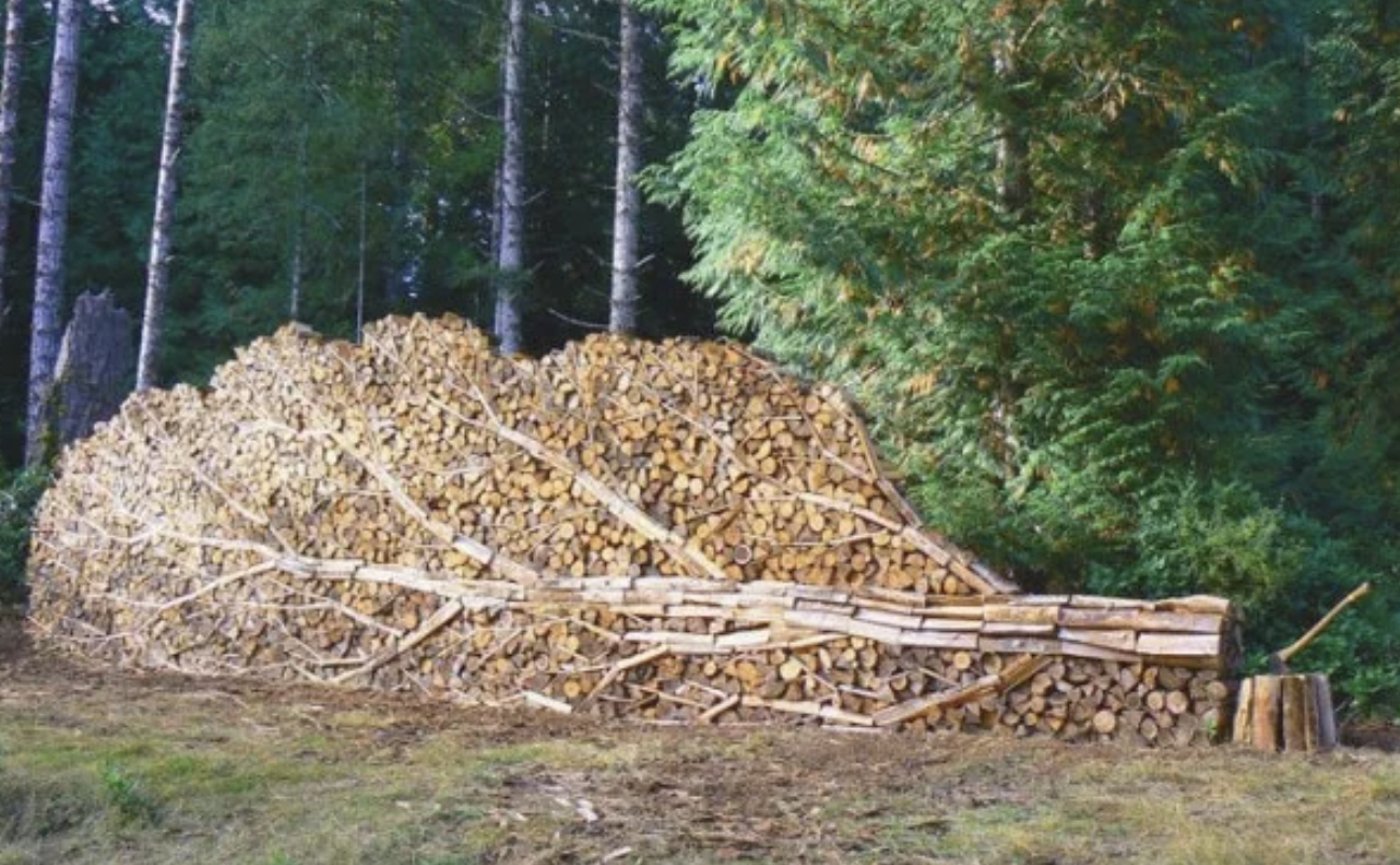A large pile of chopped firewood stacked in a forest clearing