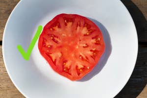 A sliced tomato on a white plate with a green checkmark indicating approval or selection