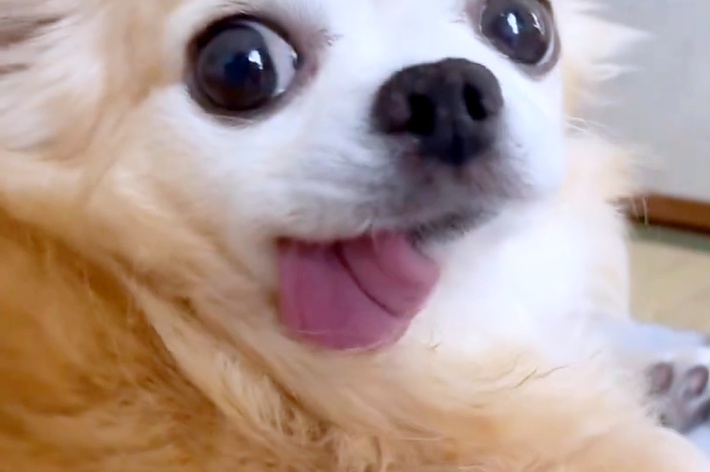 くるっと振り返る???ちゃん