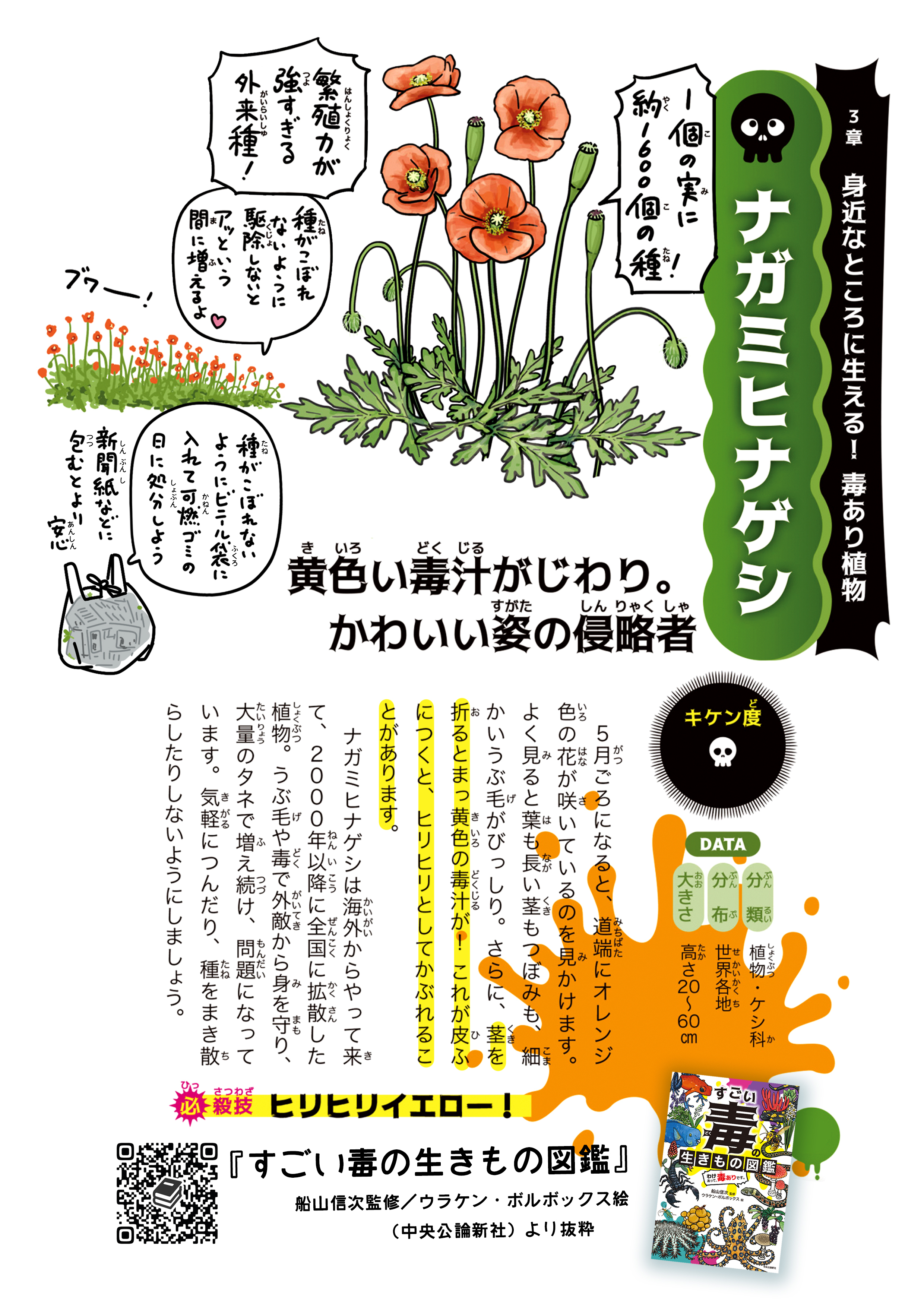 ナガミヒナゲシにご注意！】道ばたでよく見かけるオレンジの花に