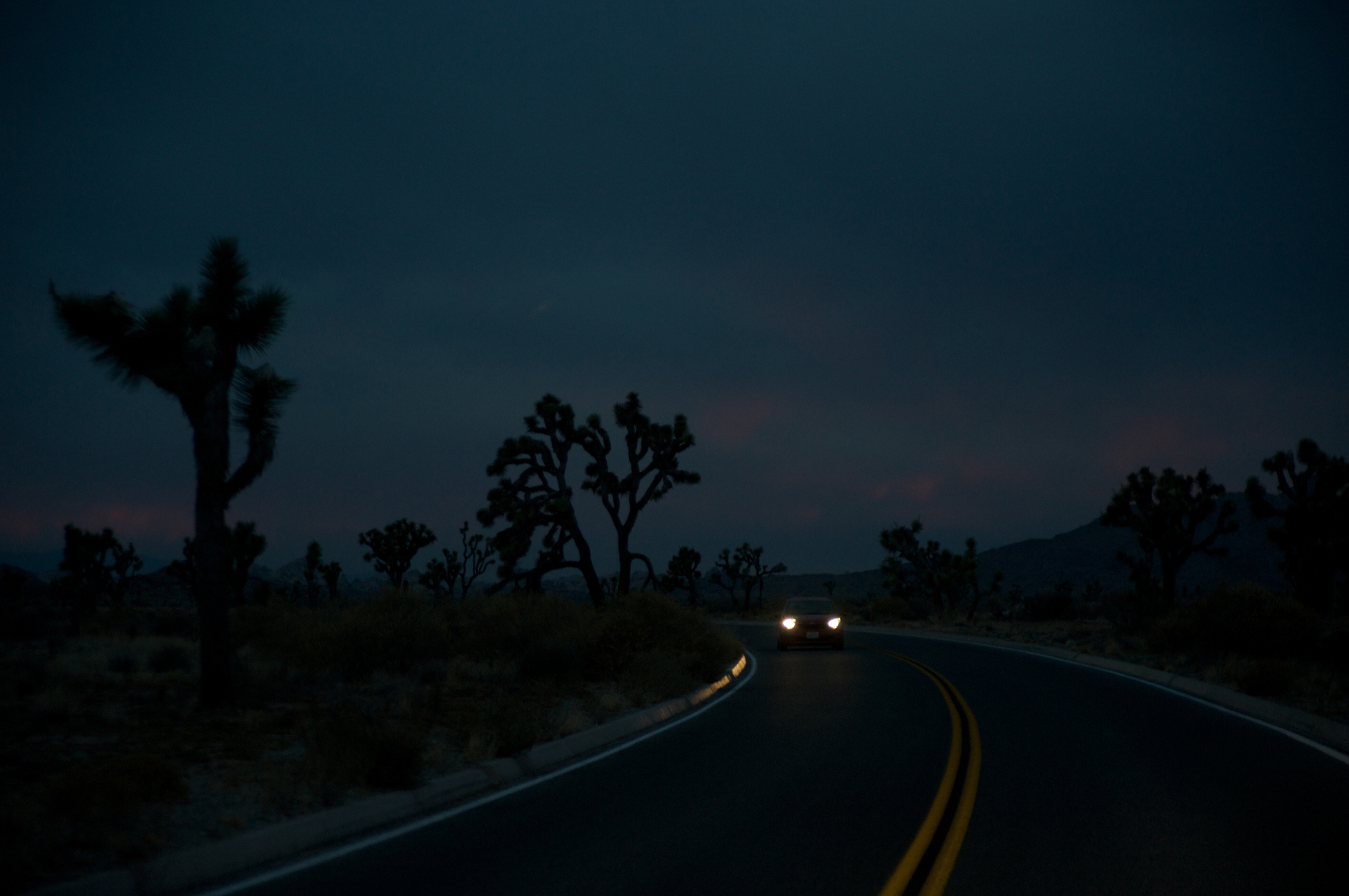 A car drives on a curvy road at dusk with silhouettes of Joshua trees against a twilight sky