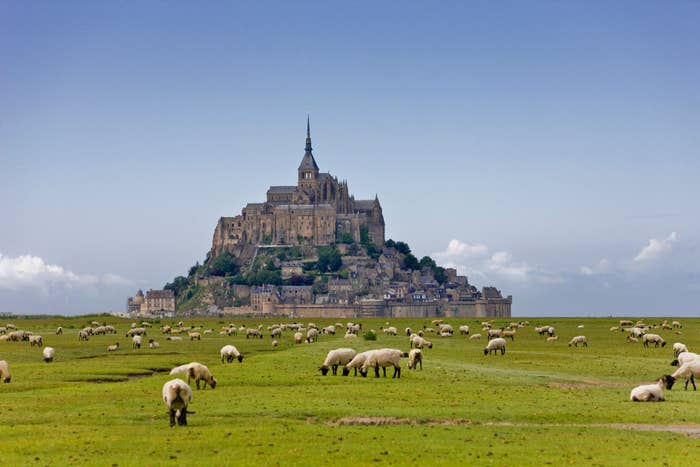 Mont Saint-Michel, with sheep grazing in the foreground