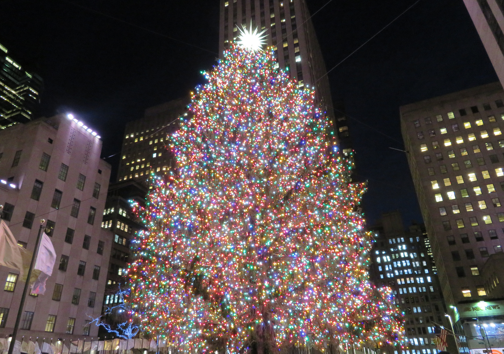 Large, illuminated Christmas tree at night with surrounding buildings