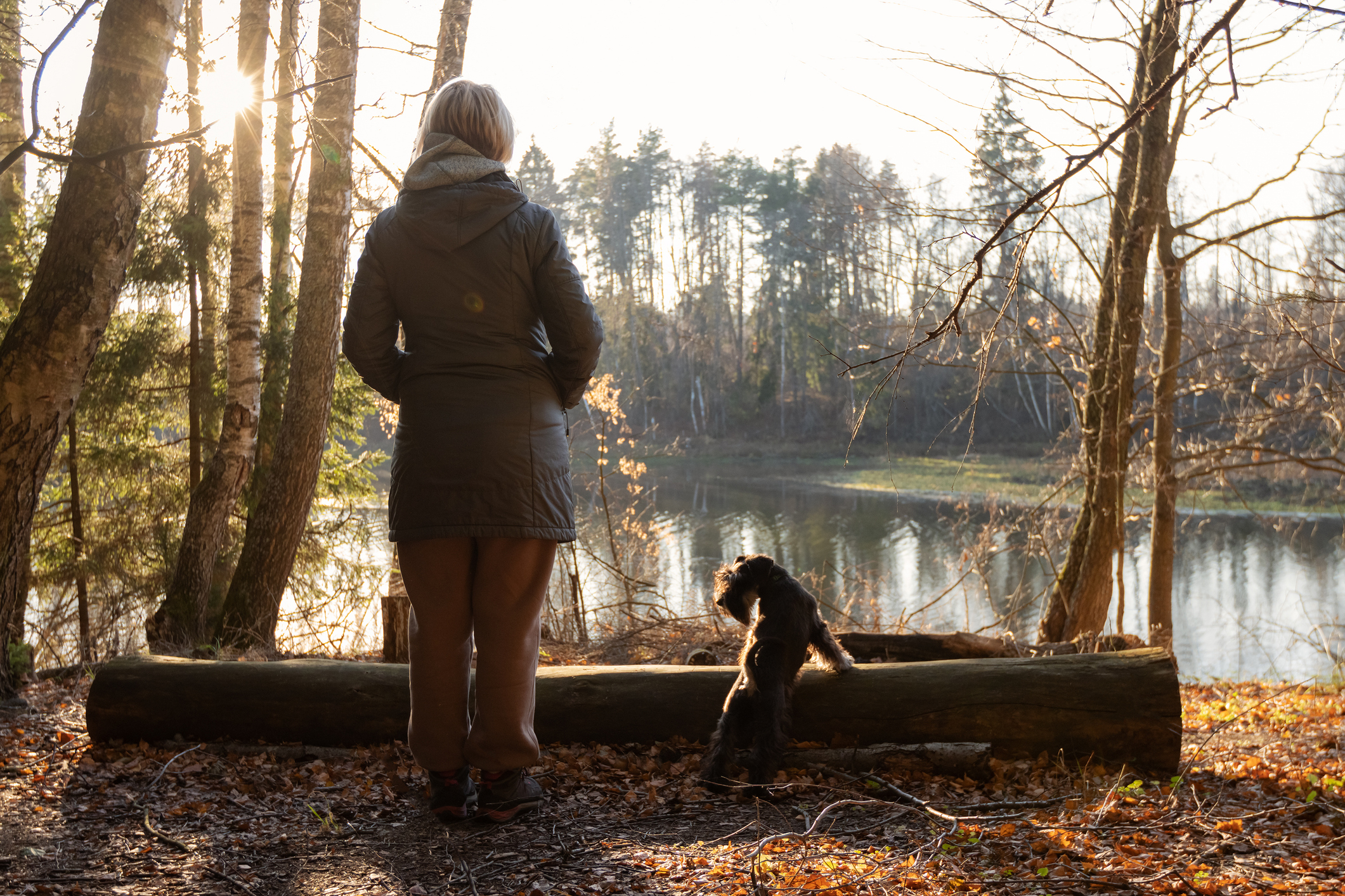 Person standing next to a dog by a lake, surrounded by trees, with sunlight filtering through