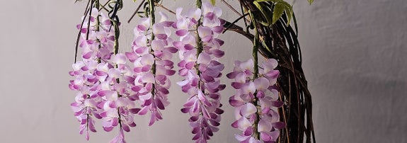盆栽のスタイルで配置された紫の花と緑の葉を持つ植物。木の台の上にあります。