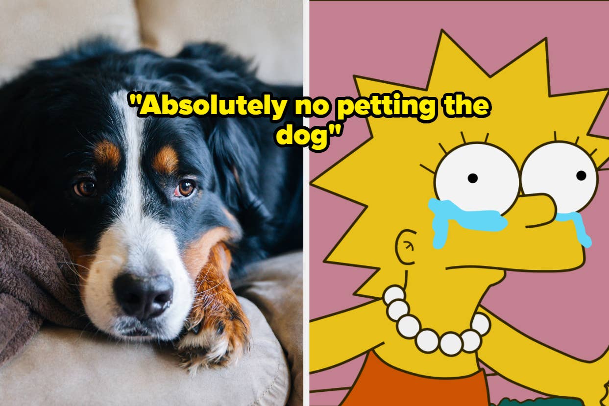 Left: A dog resting its head on a couch. Right: Animated character Lisa Simpson with tears. Text: "Absolutely no petting the dog"