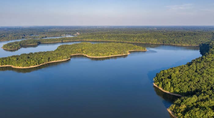 Aerial view of a winding river with surrounding dense forests; no people or specific activities in view