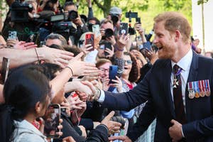 Prince Harry in a suit, shaking hands with fans behind a barrier as photographers capture the moment