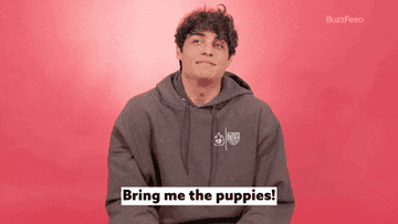 Man in hoodie smiling with text overlay &quot;Bring me the puppies!&quot;