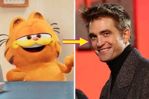 Illustration of Garfield next to photo of Robert Pattinson in jacket, comparison implied