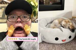 Person with tiny hands toy, shocked expression; dog sleeping in a cute animal-shaped bed