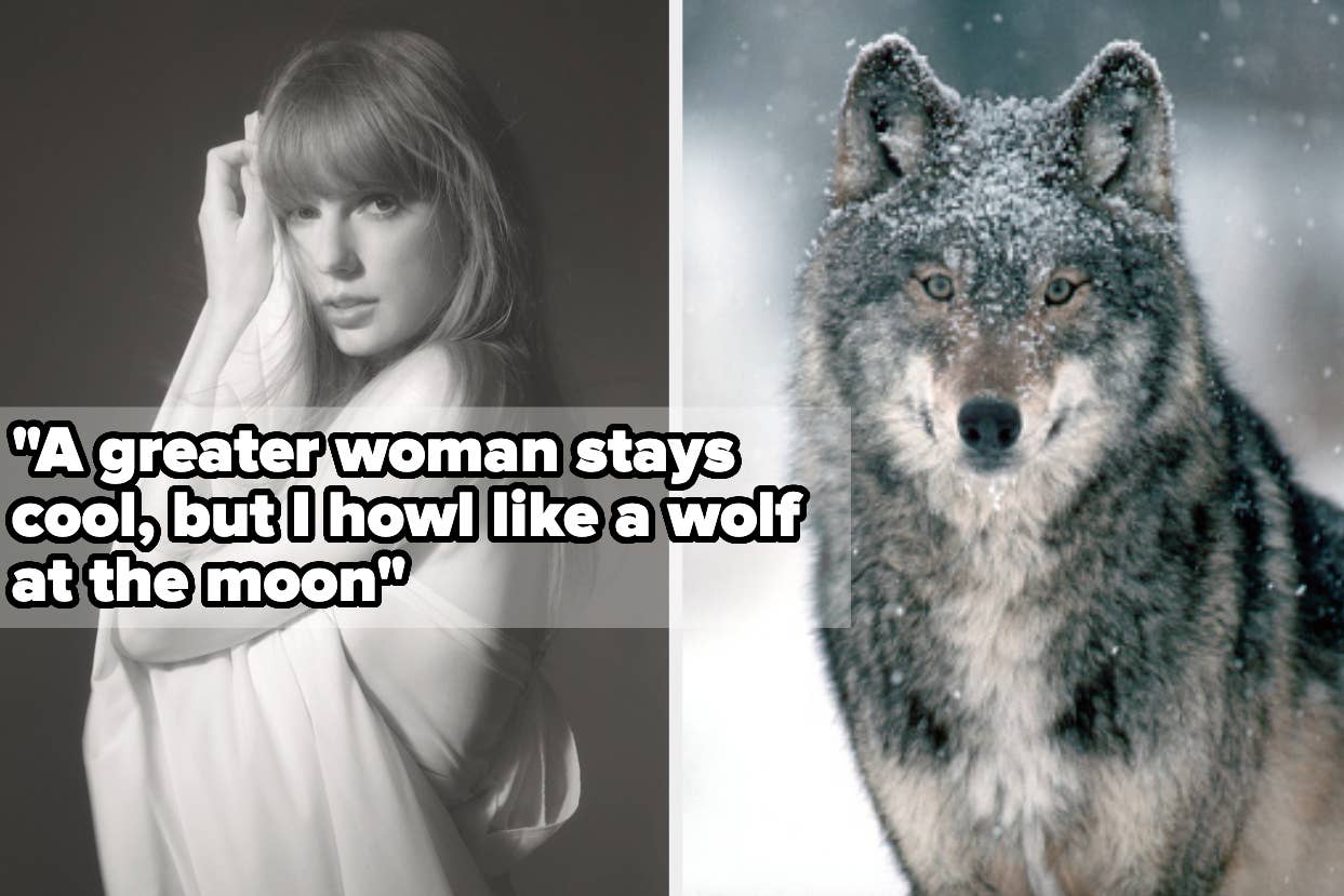 Split image; left side: Taylor Swift posing, right side: a wolf in snow. Text overlay: Inspirational quote