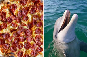 Split image: Left side shows a pepperoni pizza; right side displays a dolphin in the water