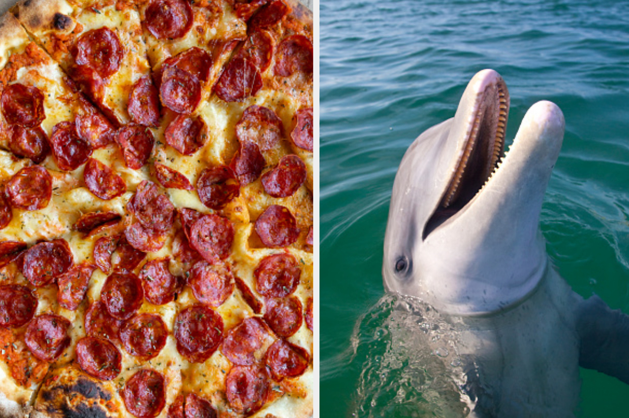 Split image: Left side shows a pepperoni pizza; right side displays a dolphin in the water