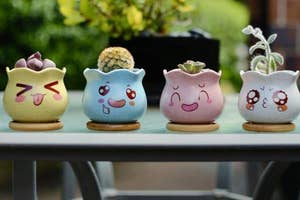 Four cute character planters with succulents