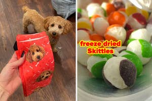 reviewer holding a sock with their dog's face on it / a bowl of freeze dried Skittles