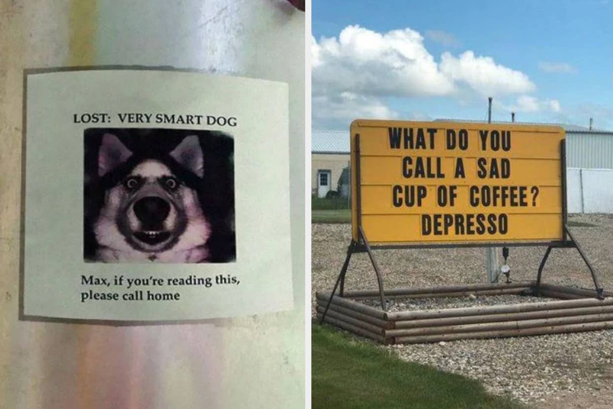 Lost dog flyer with humorous plea; roadside sign with coffee-related pun
