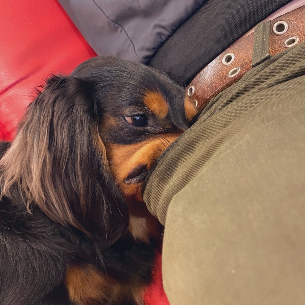 ポケットに鼻を突っ込んでうっとりするみらいくん