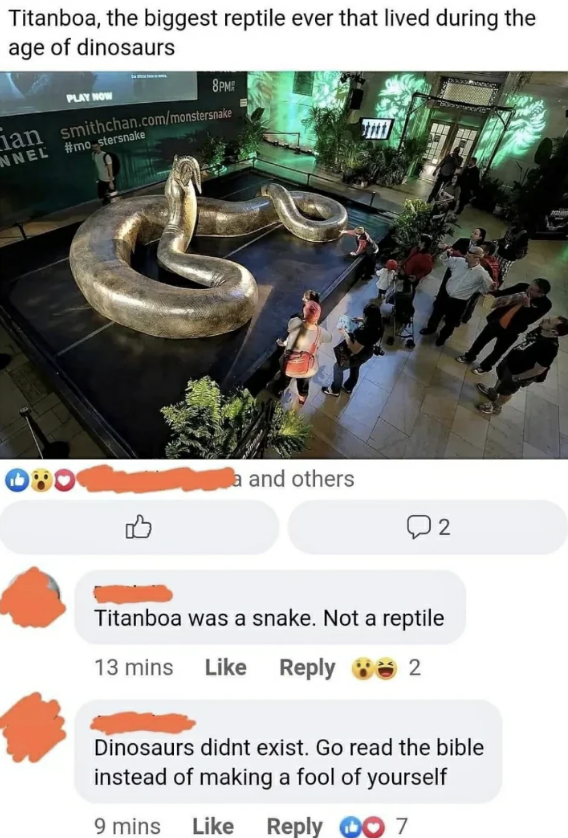 Exhibit showing a large Titanoboa model with visitors observing it. Facebook comments underneath debate whether Titanoboa is a snake or reptile and the existence of dinosaurs