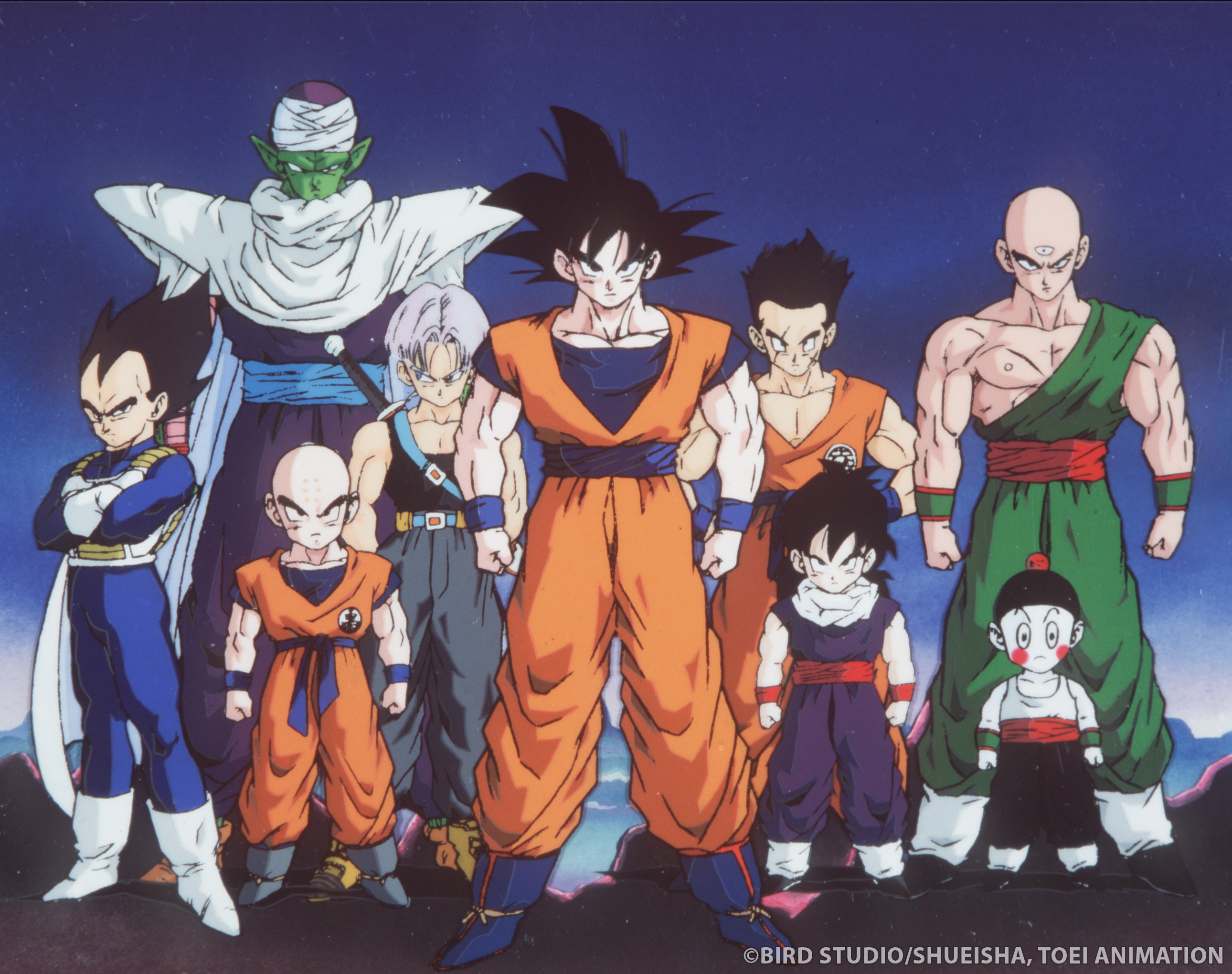 Goku, Vegeta, Piccolo, Trunks, Gohan, Krillin, Tien, and Chiaotzu from Dragon Ball Z stand in a group, all wearing martial arts outfits