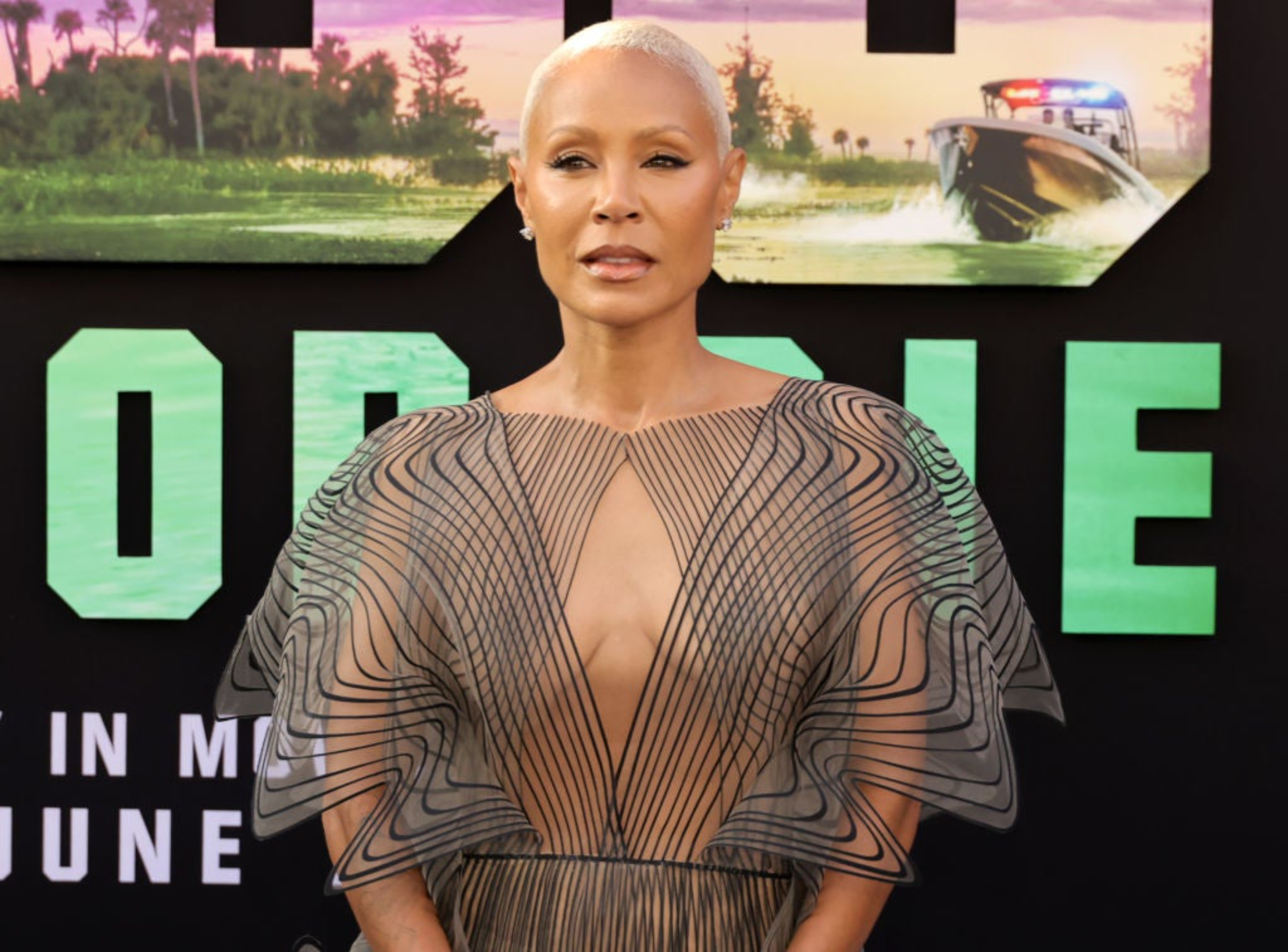 Jada Pinkett Smith on red carpet, wearing a sheer, geometric-patterned dress at an event for "Emancipation."