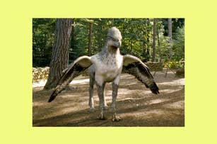 Buckbeak, the Hippogriff, stands in a forest clearing with wings slightly spread, showing a mix of eagle and horse features from Harry Potter