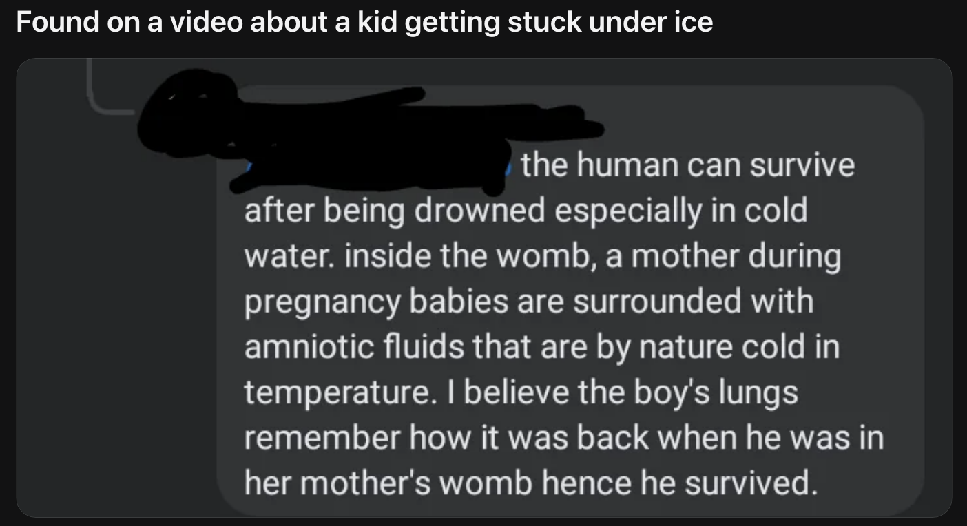 Summary of a comment under a video about a kid getting stuck under ice: it theorizes that the human ability to survive in cold water is due to amniotic fluid in the womb