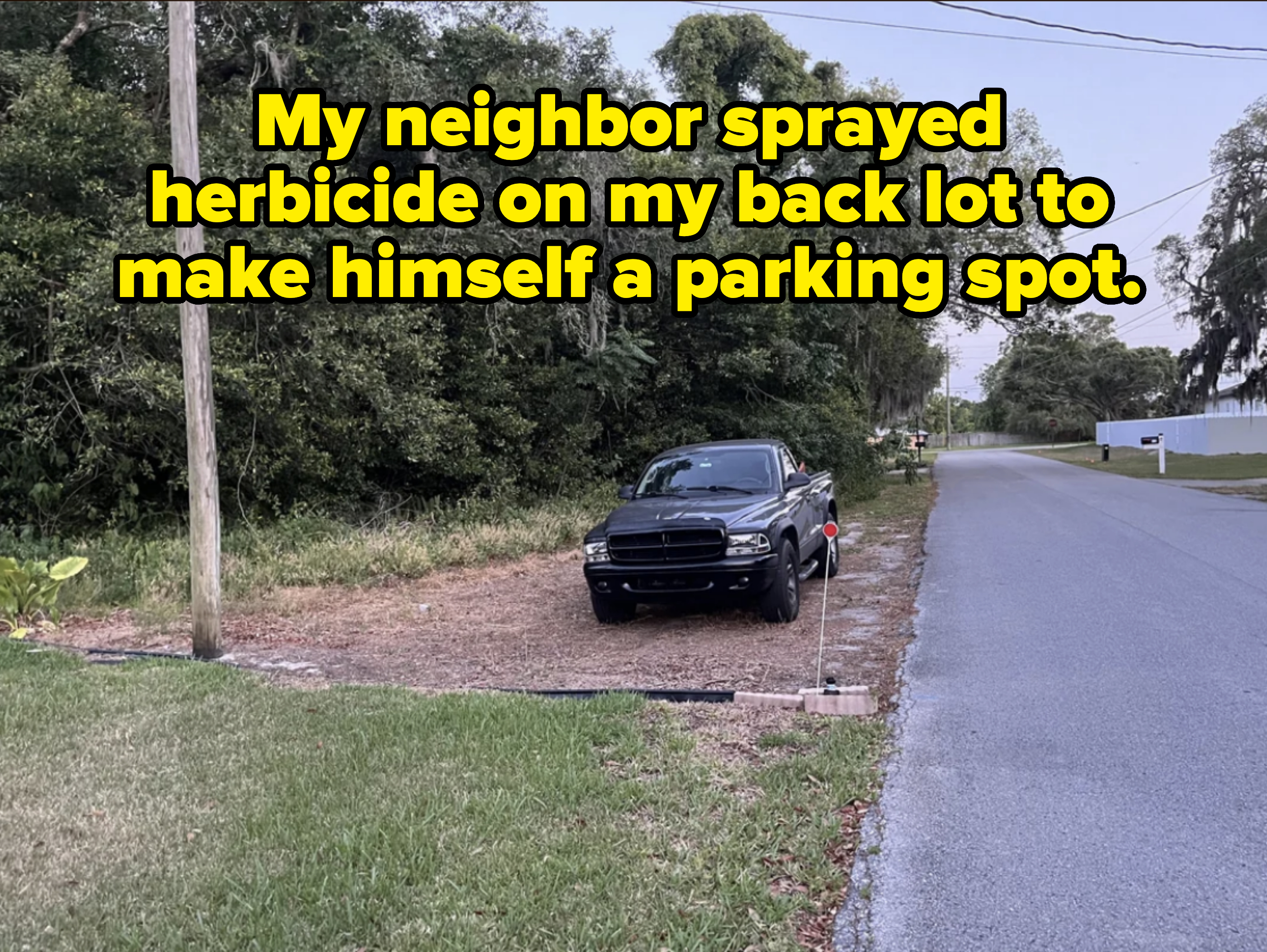 A black pickup truck is parked on a grassy area near a road with dense trees in the background. There are no people in the image