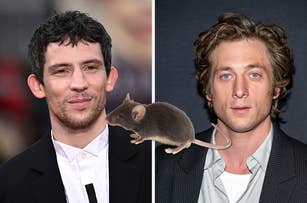 Josh O'Connor and Jeremy Allen White are pictured side by side with a rat superimposed between them