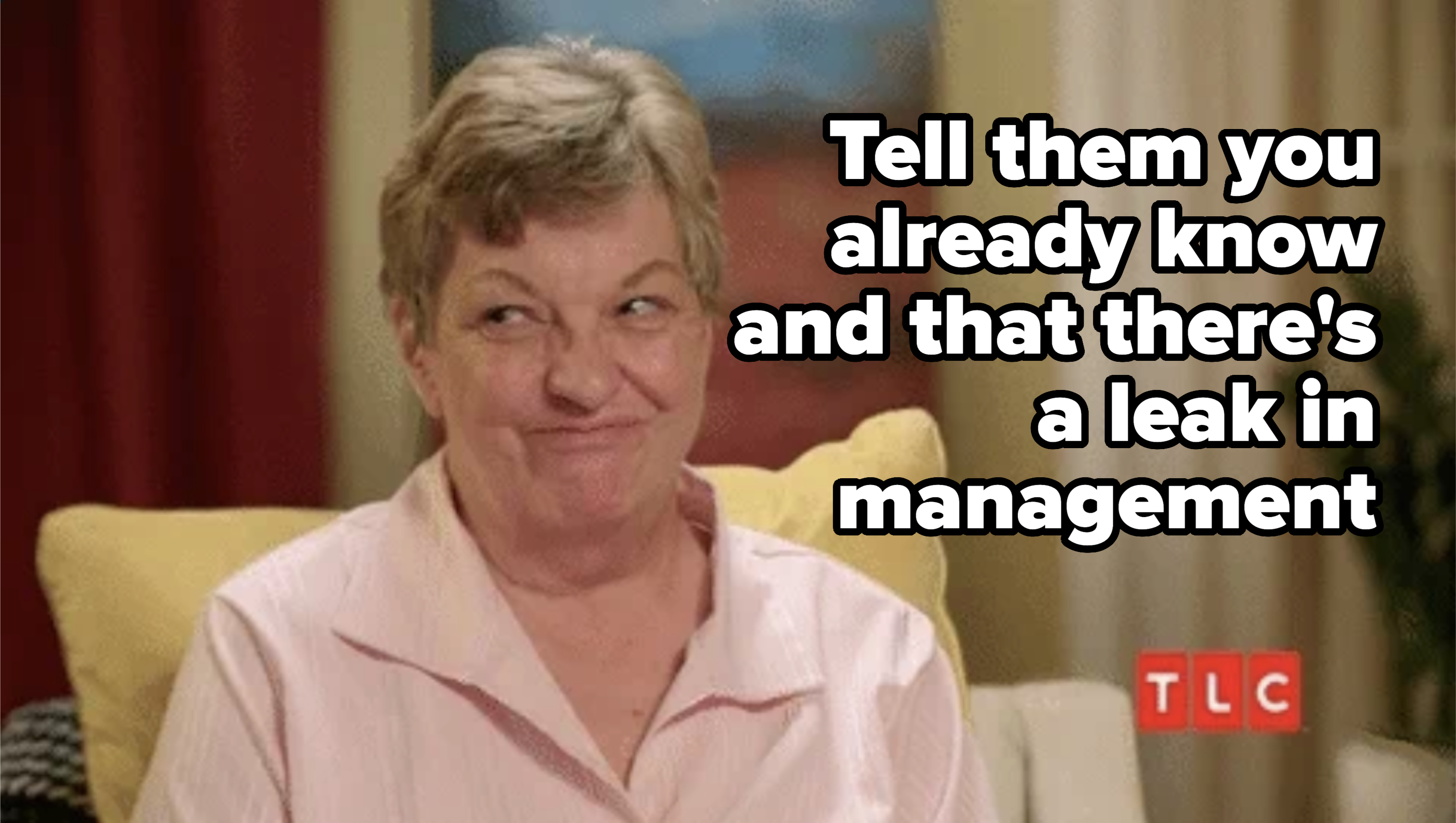 A woman in a light shirt smirks at the camera during an interview for TLC