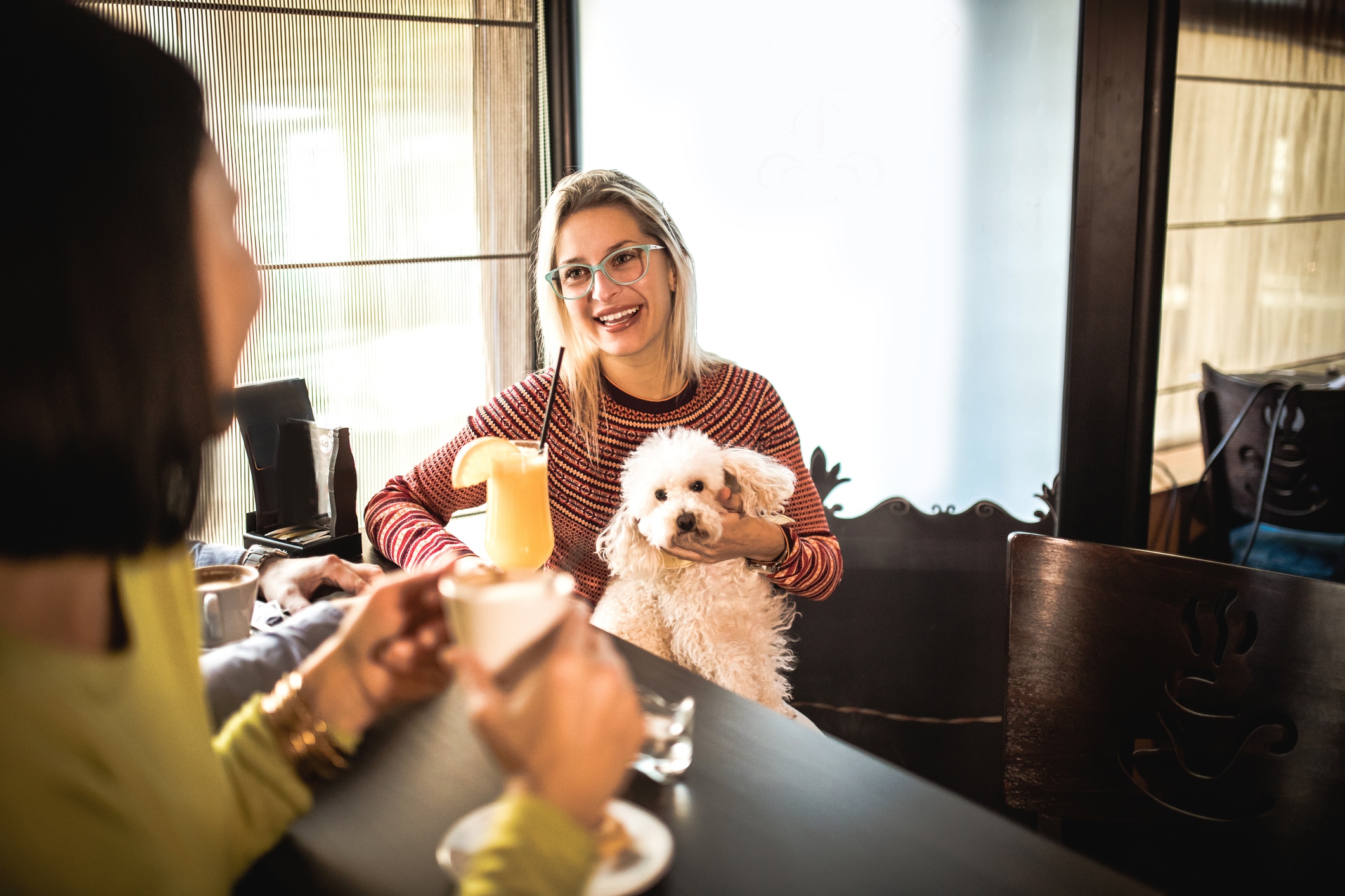 Two women chatting in a coffee shop, one holding a small white dog