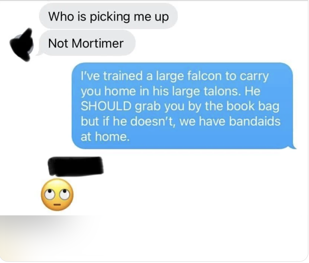 Text conversation: &quot;Who is picking me up?&quot; &quot;Not Mortimer&quot; Reply: &quot;I&#x27;ve trained a large falcon to carry you home in his large talons...&quot; with eye-roll emoji