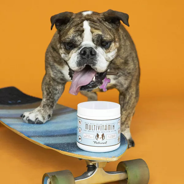 A bulldog stands on a skateboard next to the jar of supplements