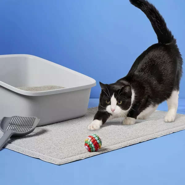 A black and white cat plays with a colorful ball next to a litter box and scoop on a mat