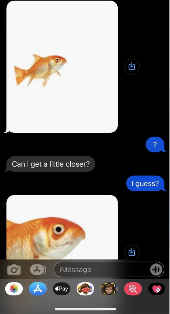 An iMessage conversation about a goldfish is shown. First image shows a full goldfish, second image shows a close-up of the goldfish&#x27;s face. Text: &quot;Can I get a little closer?&quot; &quot;I guess?&quot;