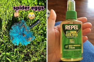 Two images side-by-side. The first shows a broom head with spider eggs on it and an emoji. The second shows a hand holding insect repellent labeled, "Repel - Lemon Eucalyptus, DEET-Free."