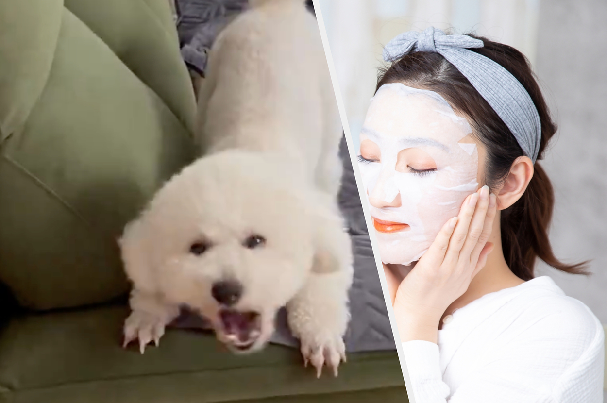 ベッドの上で吠える白い犬と、顔にフェイスマスクをつけてリラックスしている女性。