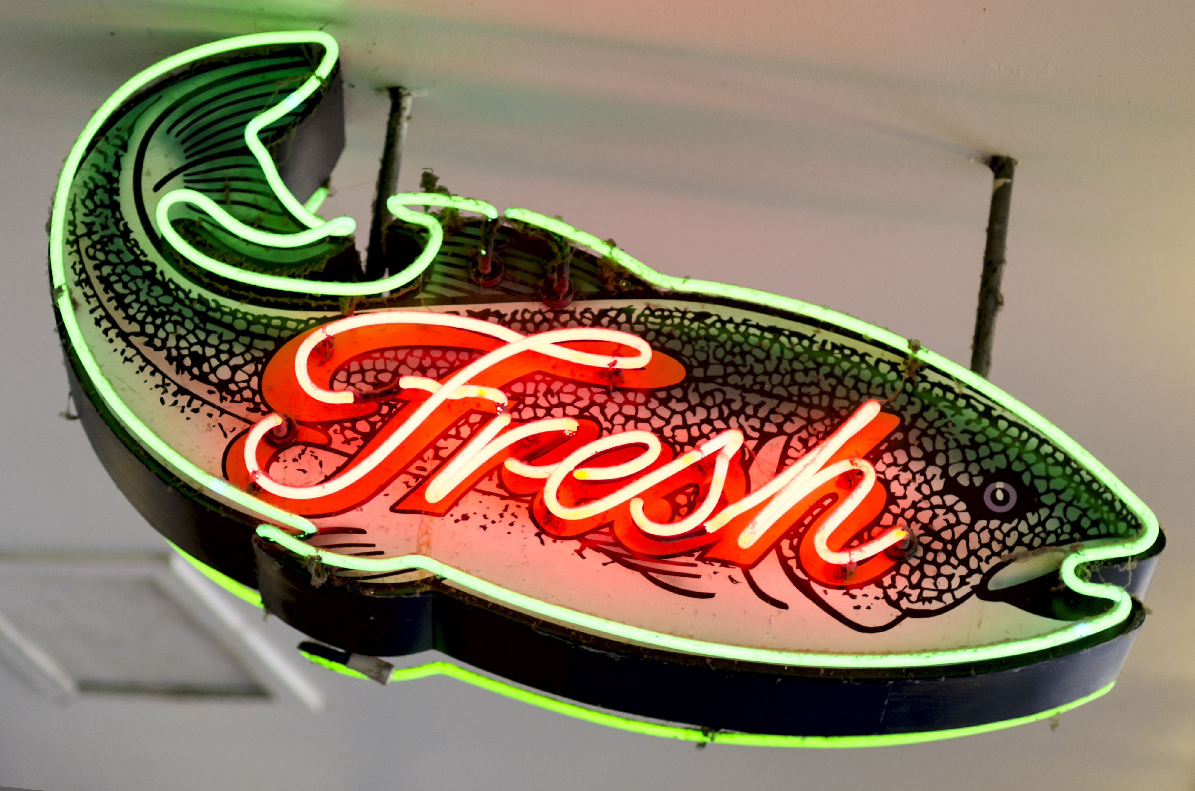 A neon sign in the shape of a fish with the word "Fresh" in the center, symbolizing fresh seafood or fish products