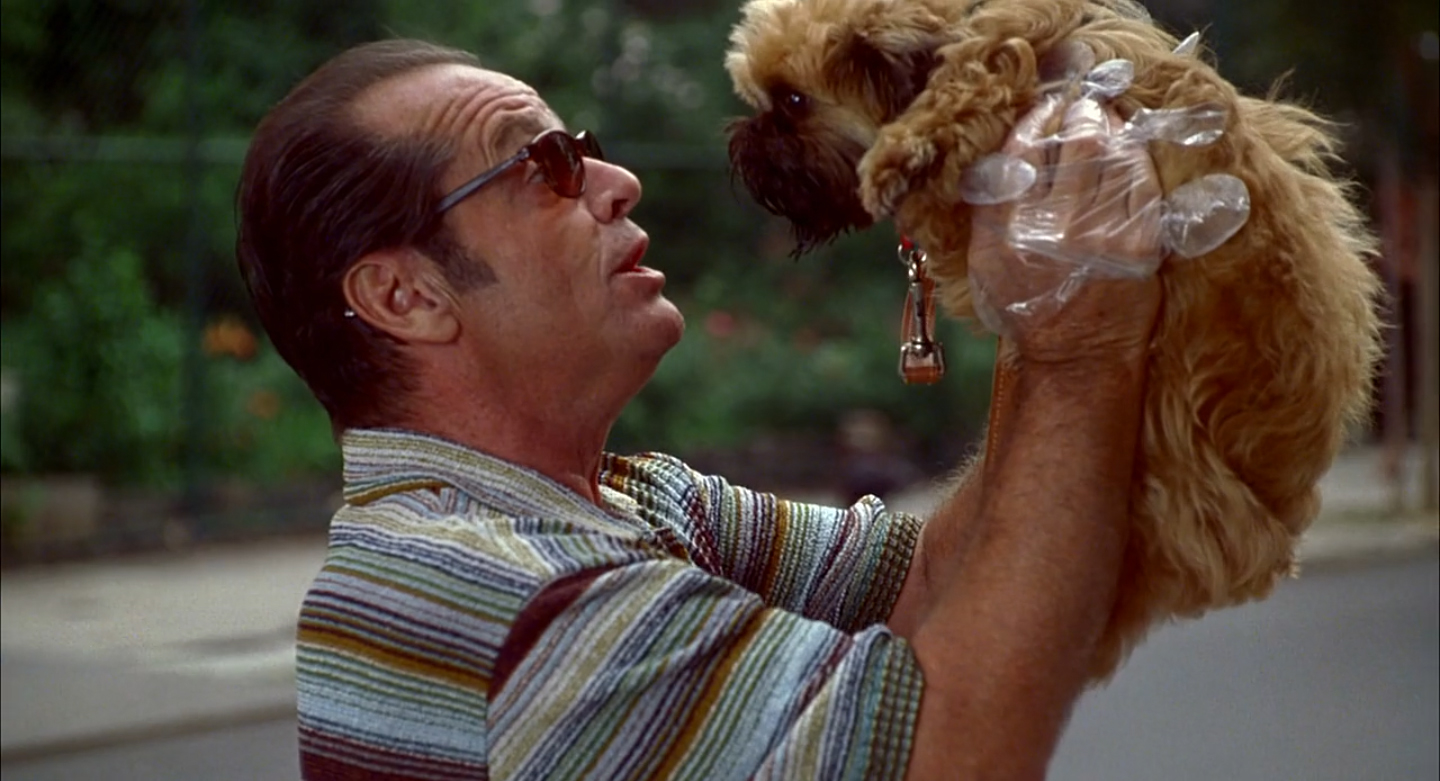 Jack Nicholson, wearing a striped shirt and sunglasses, holding a small dog with fur-covered paws elevated using plastic bag-covered hands, outdoor setting