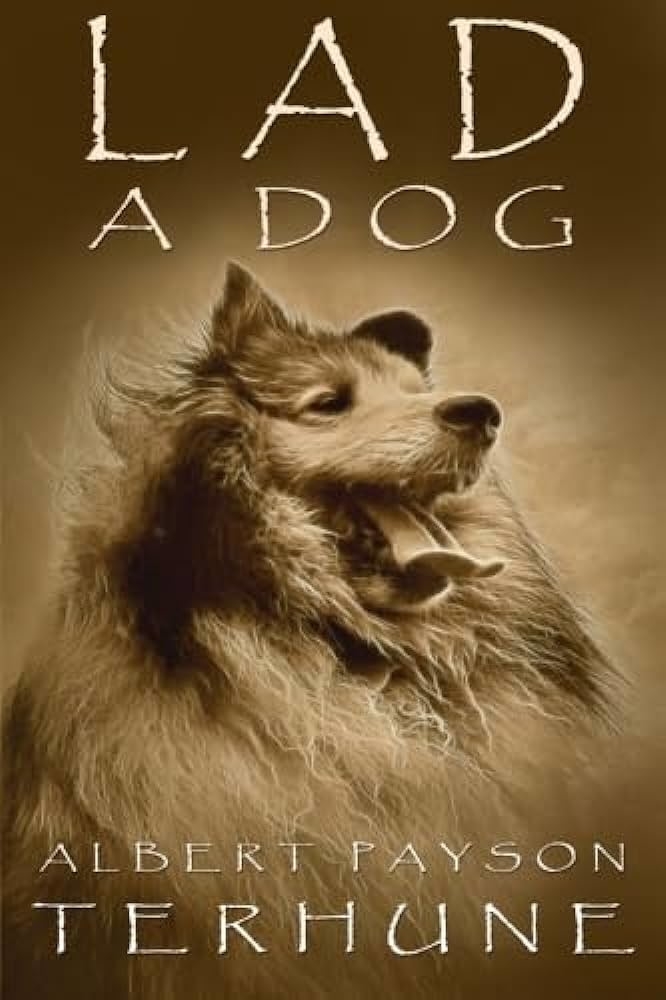 Cover of the book "Lad: A Dog" featuring an illustration of a Collie and the author's name, Albert Payson Terhune