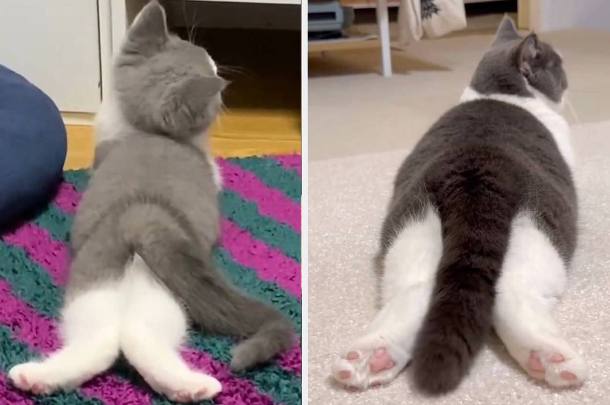 おもちちゃんの生後3カ月（左）と3歳のバックショット