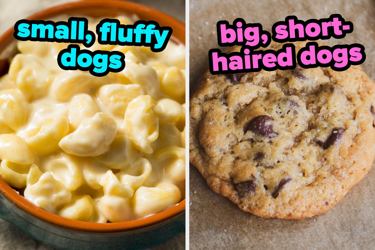 Can I Guess What Kind Of Dogs You Love The Most Based On Your Random Food Preferences?