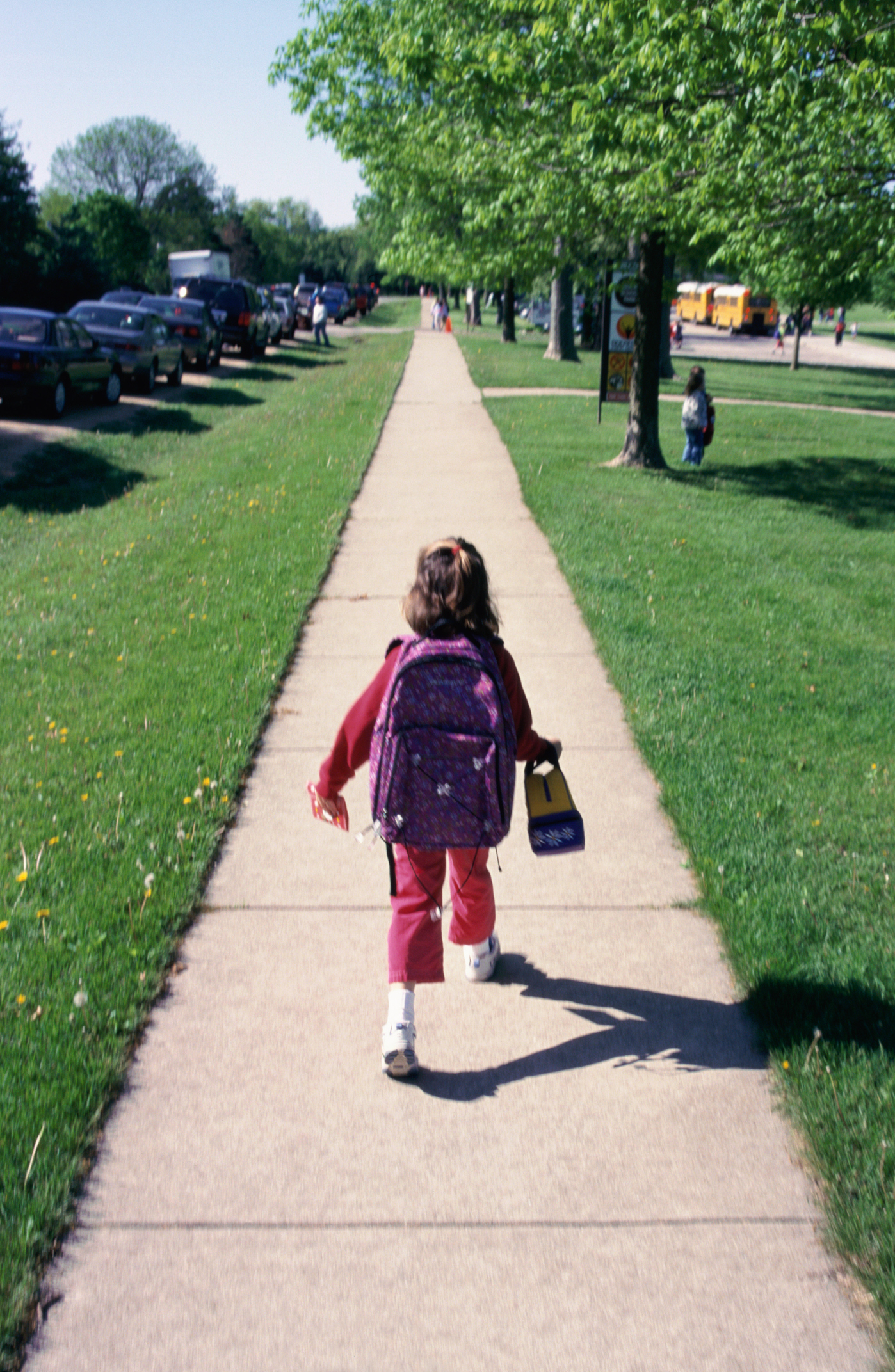 A young child walks down a sidewalk with a purple backpack and a lunchbox. Trees line the path on a sunny day with other kids and cars in the background